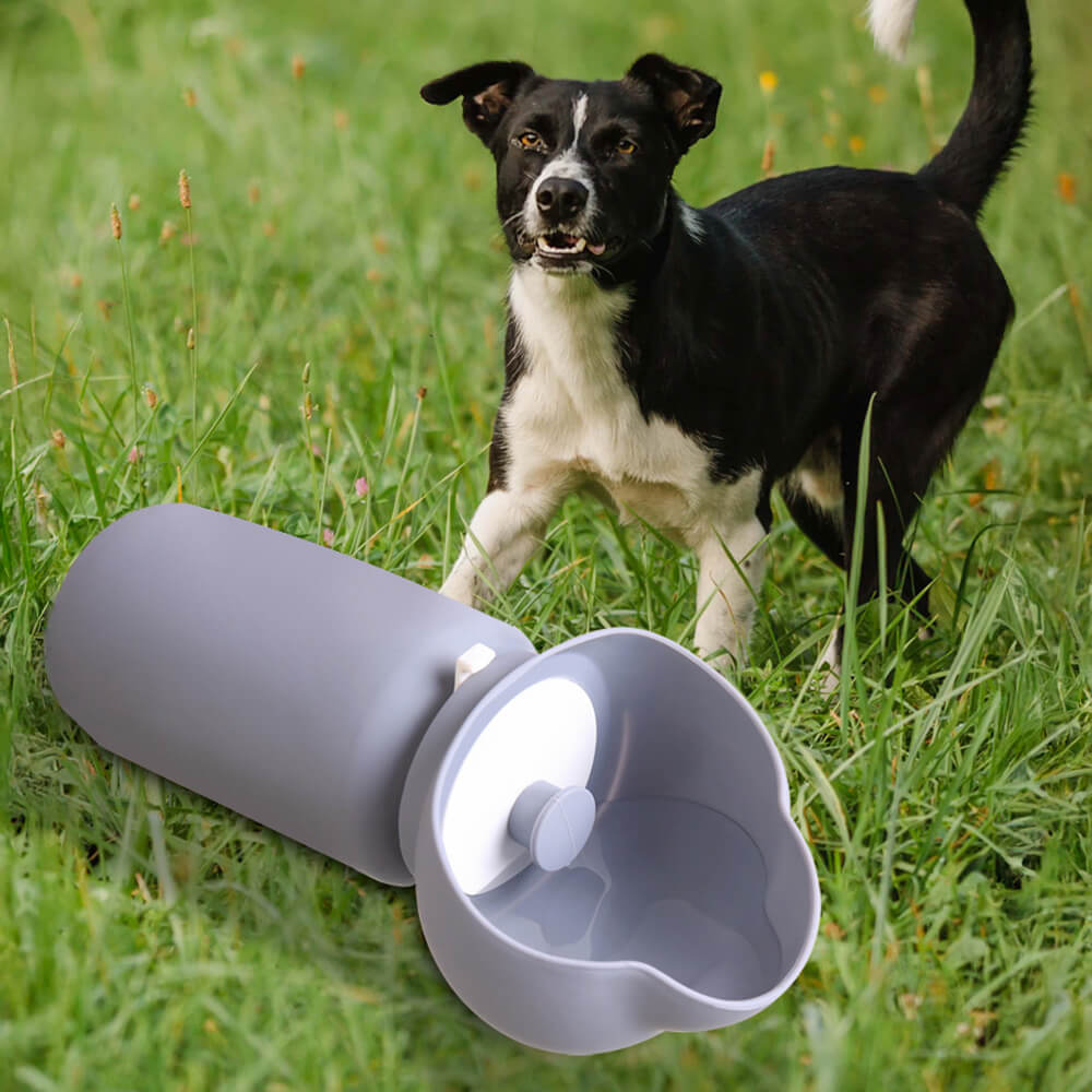 Portable Outdoor Folding Sealed Soft Silicone Pet Water Bottle