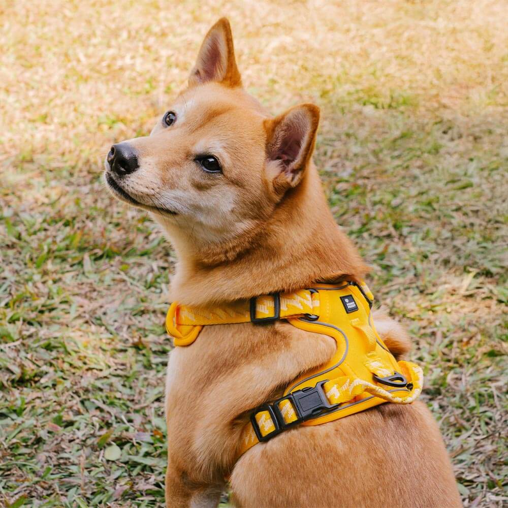 FUNNYFUZZY Reflektierendes, verstellbares Hundegeschirr für den Außenbereich – Flexi Walker