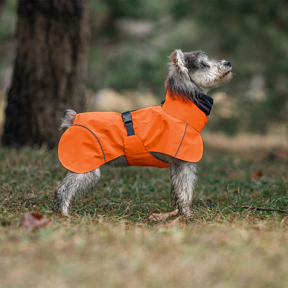 Poncho imperméable léger et réfléchissant à col roulé pour chien, imperméable et réglable