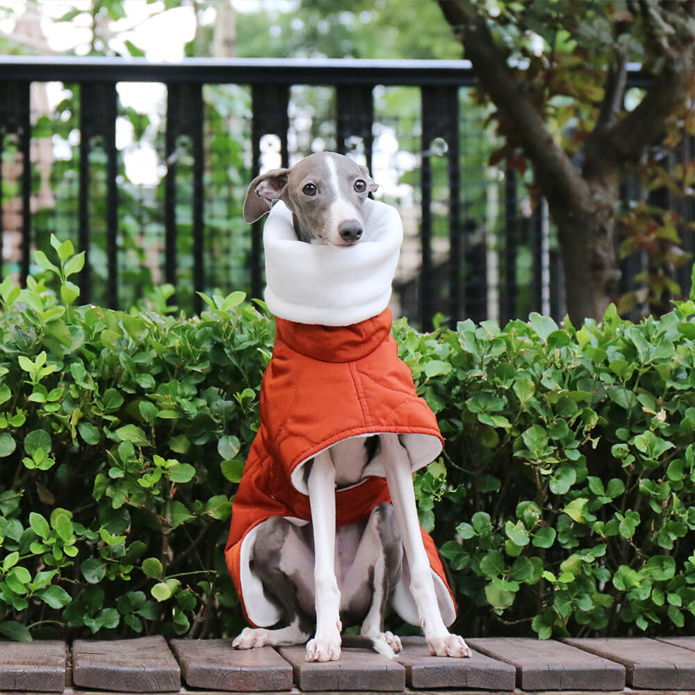 Warme, wasserdichte, gesteppte Rollkragen-Hundejacke