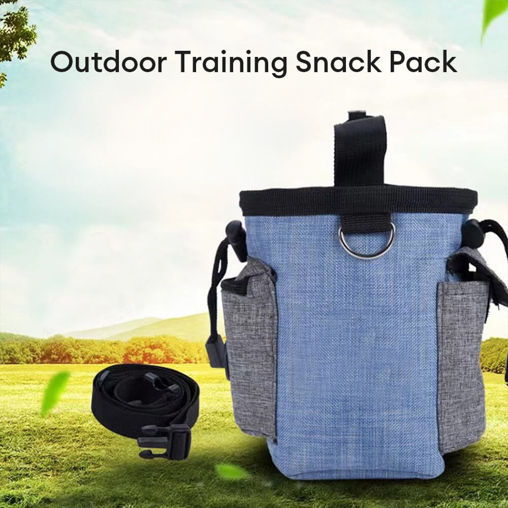 Waterproof Multifunctional Dog Walking Waist Bag With Storage