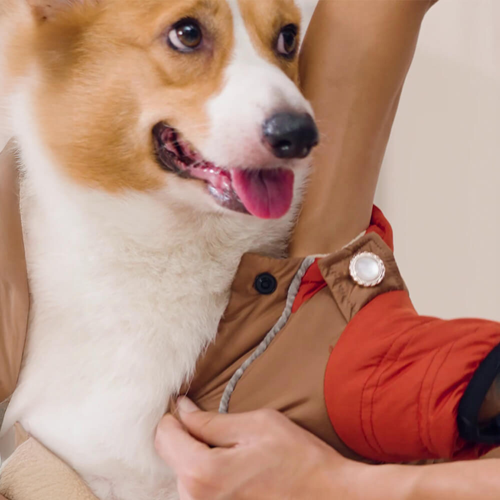 Veste à capuche pour chien, imperméable et coupe-vent, coupe chaude et ajustable