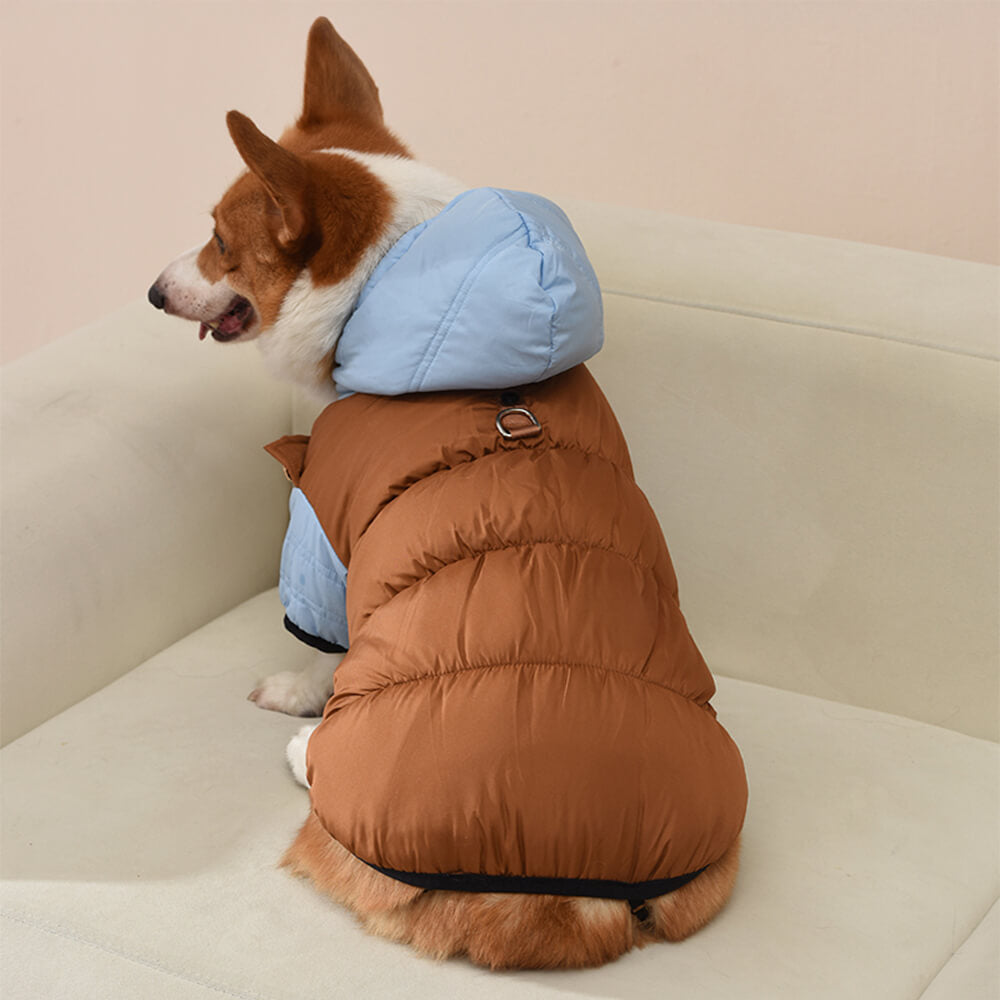 Veste à capuche pour chien, imperméable et coupe-vent, coupe chaude et ajustable