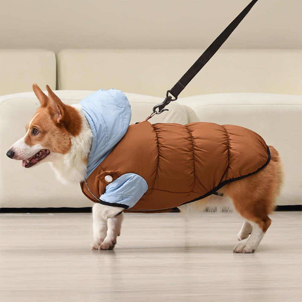 Veste à capuche pour chien, imperméable et coupe-vent, coupe chaude et ajustable