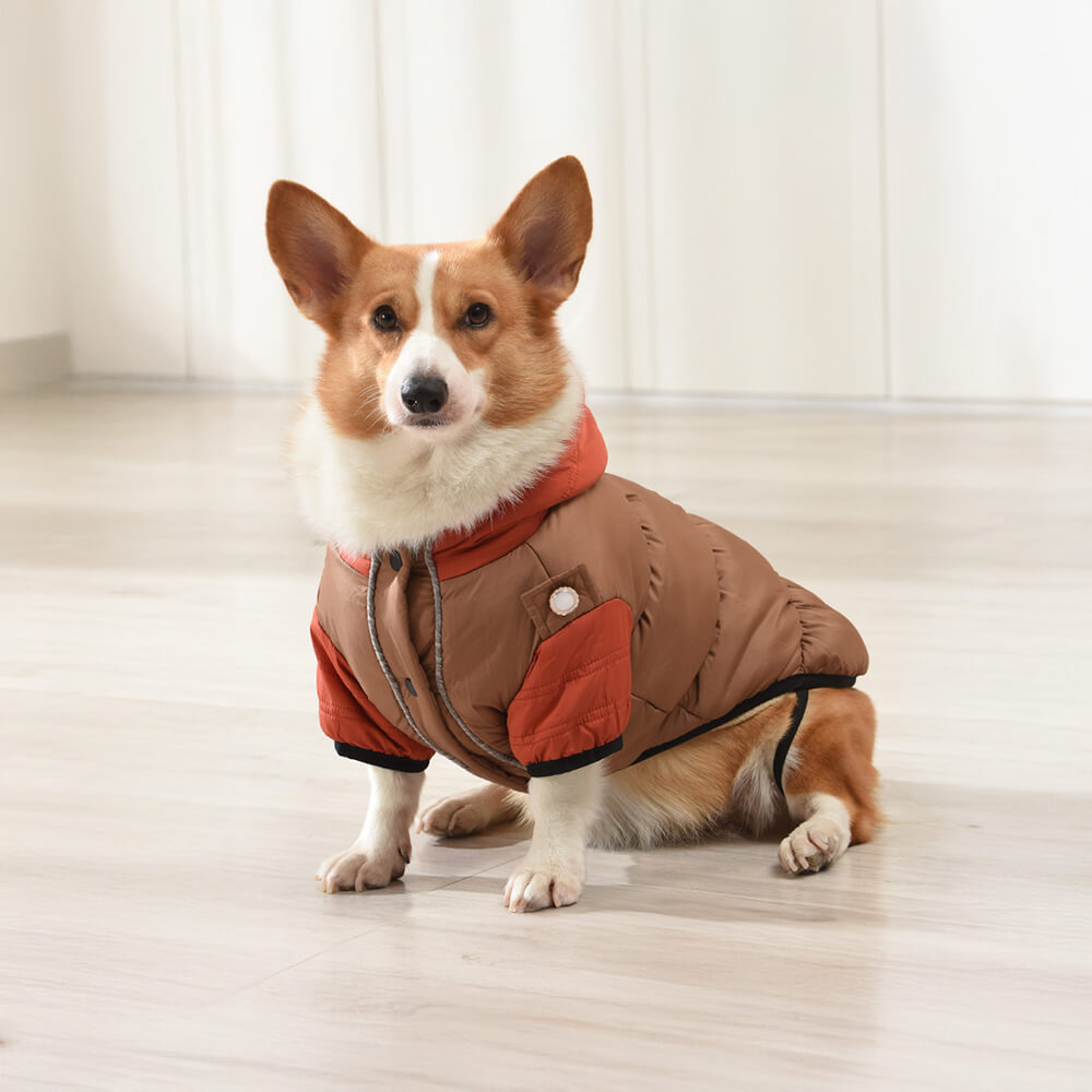 Veste à capuche pour chien, imperméable et coupe-vent, coupe chaude et ajustable