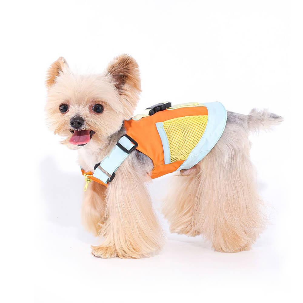 Gilet pour chien coloré à la mode avec chapeau de soleil pour petits chiens