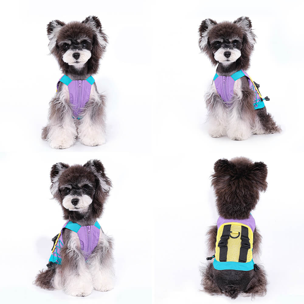 Gilet pour chien coloré à la mode avec chapeau de soleil pour petits chiens