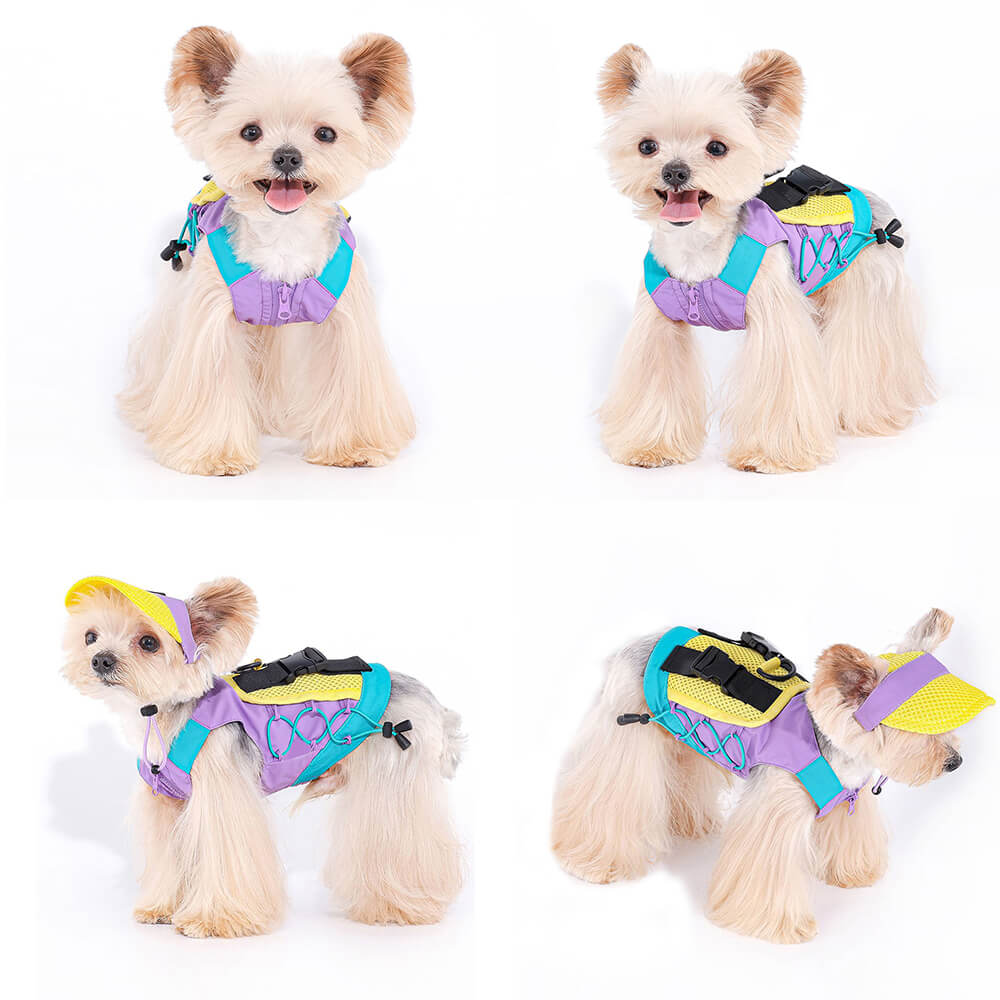 Fashionable Colorful Dog Vest with Sun Hat for Small Dogs