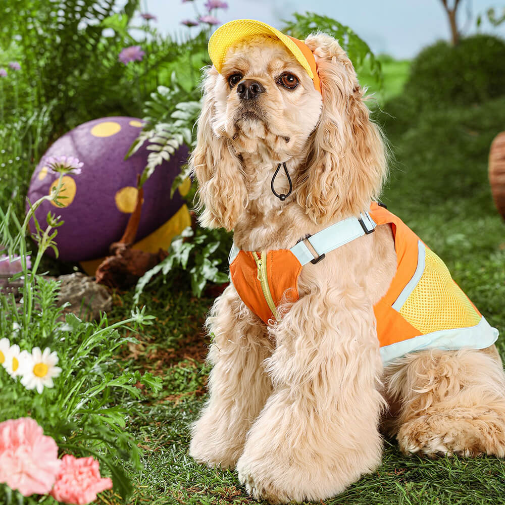 Fashionable Colorful Dog Vest with Sun Hat for Small Dogs