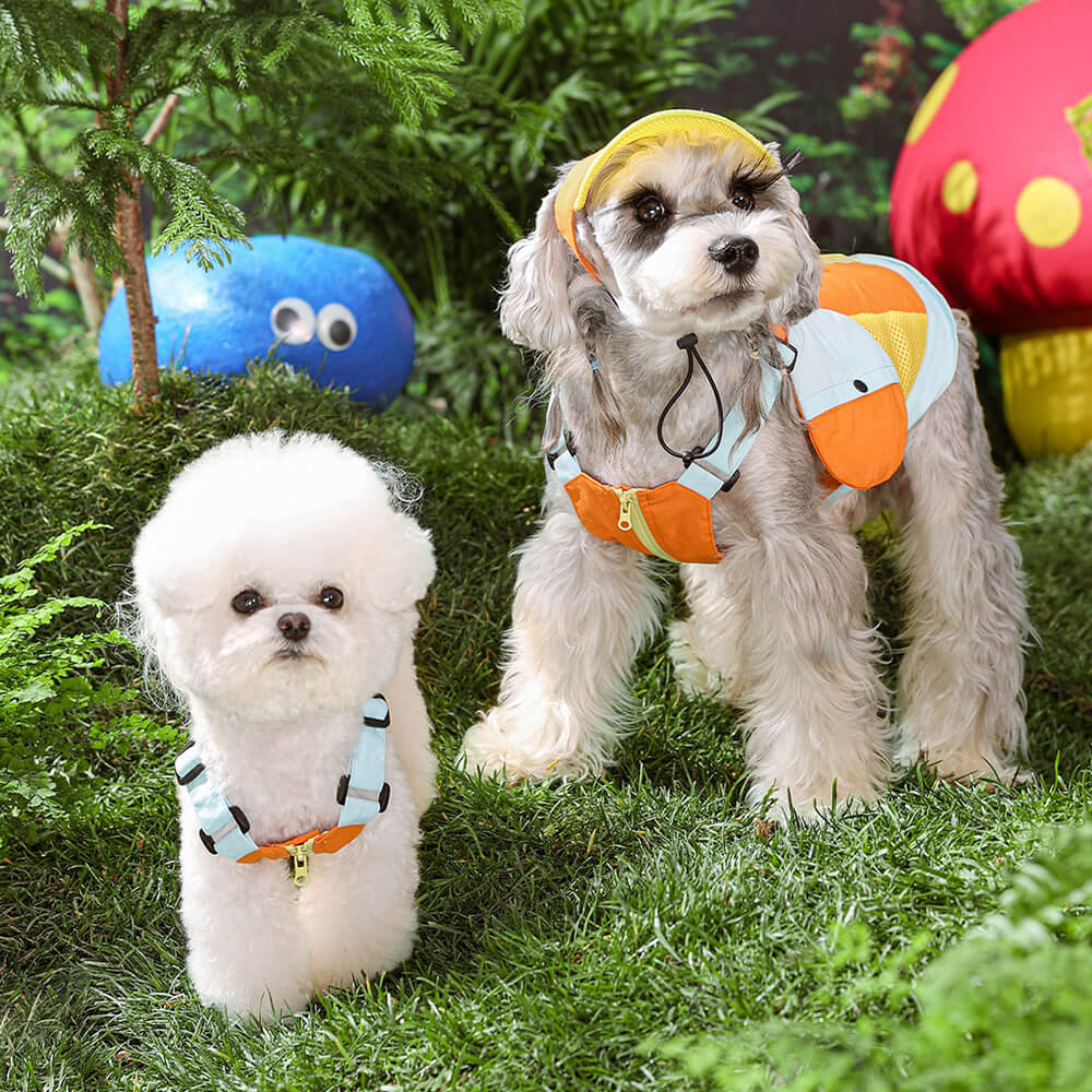 Fashionable Colorful Dog Vest with Sun Hat for Small Dogs