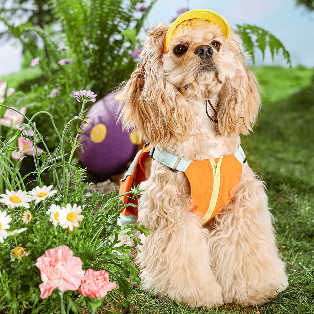 Fashionable Colorful Dog Vest with Sun Hat for Small Dogs