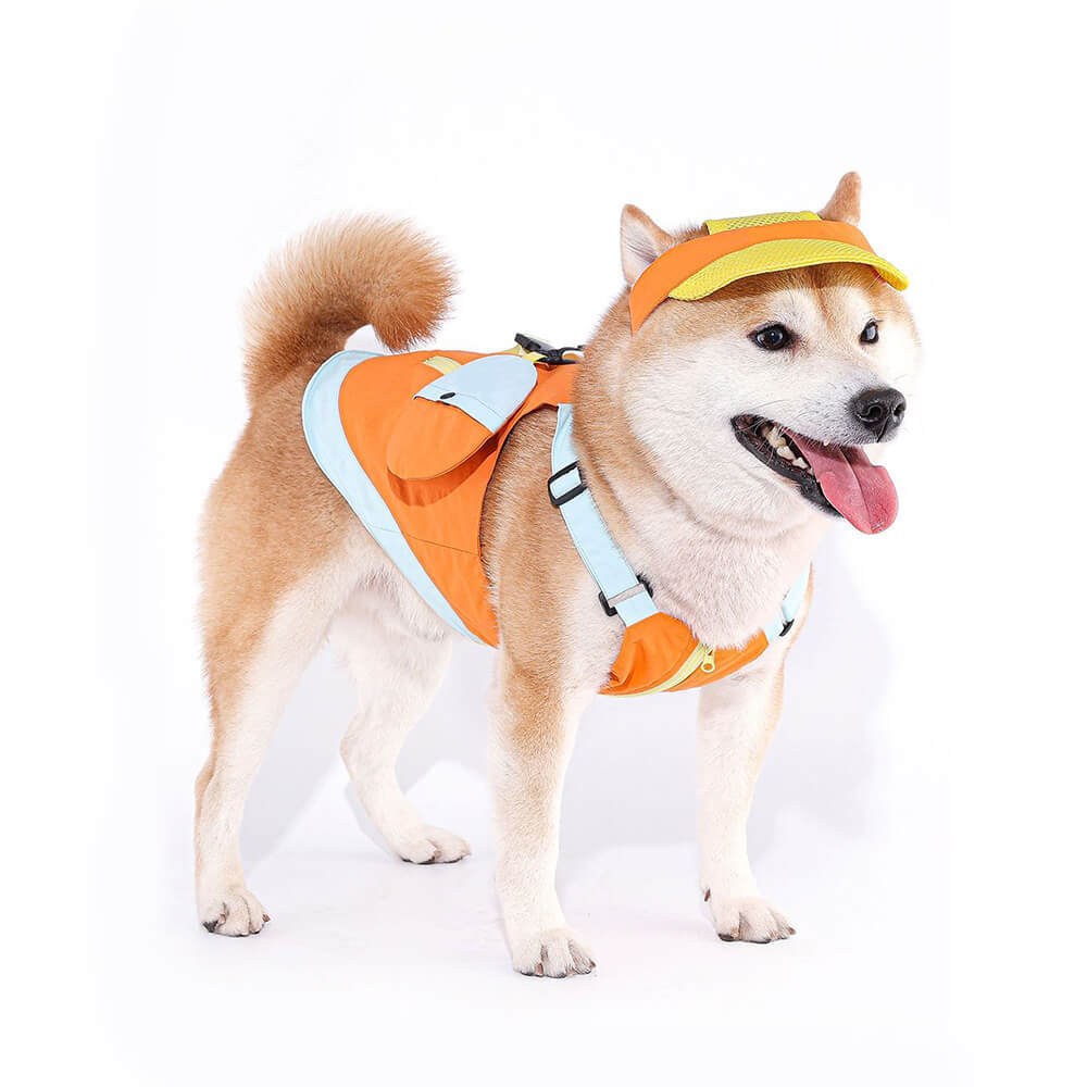 Chaleco colorido de moda para perros con sombrero para el sol para perros pequeños