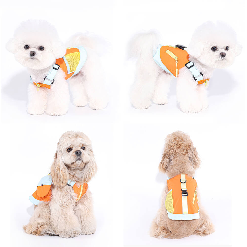 Chaleco colorido de moda para perros con sombrero para el sol para perros pequeños