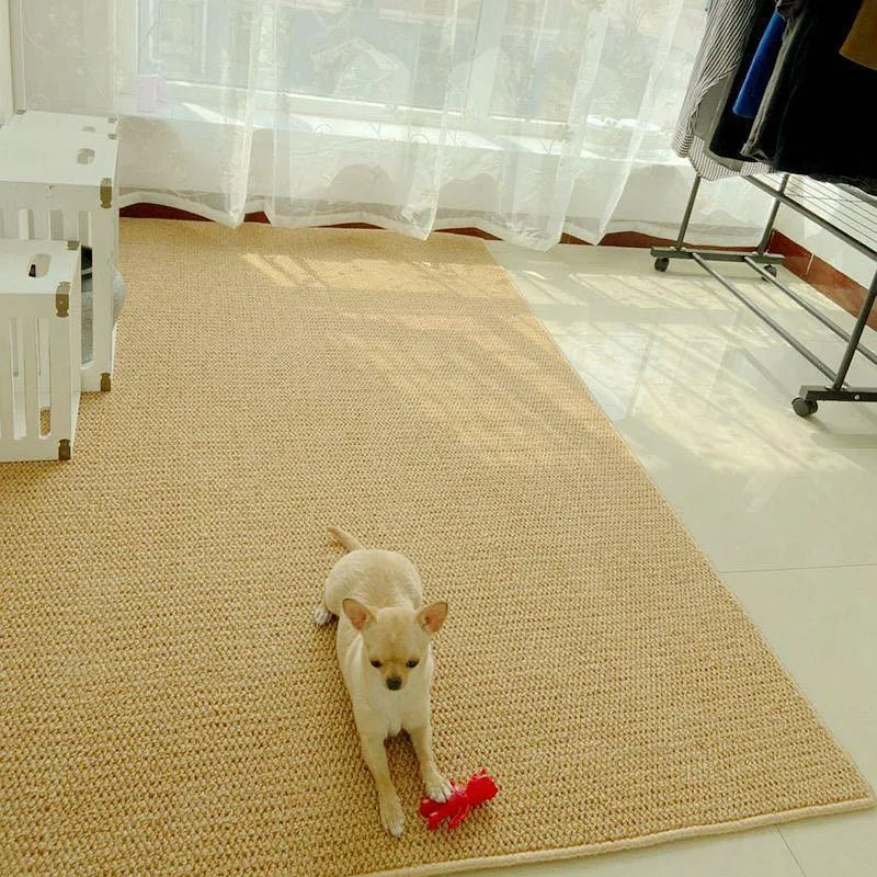 Faux Sisal Pet Carpet Scratch-resistant Room Carpet