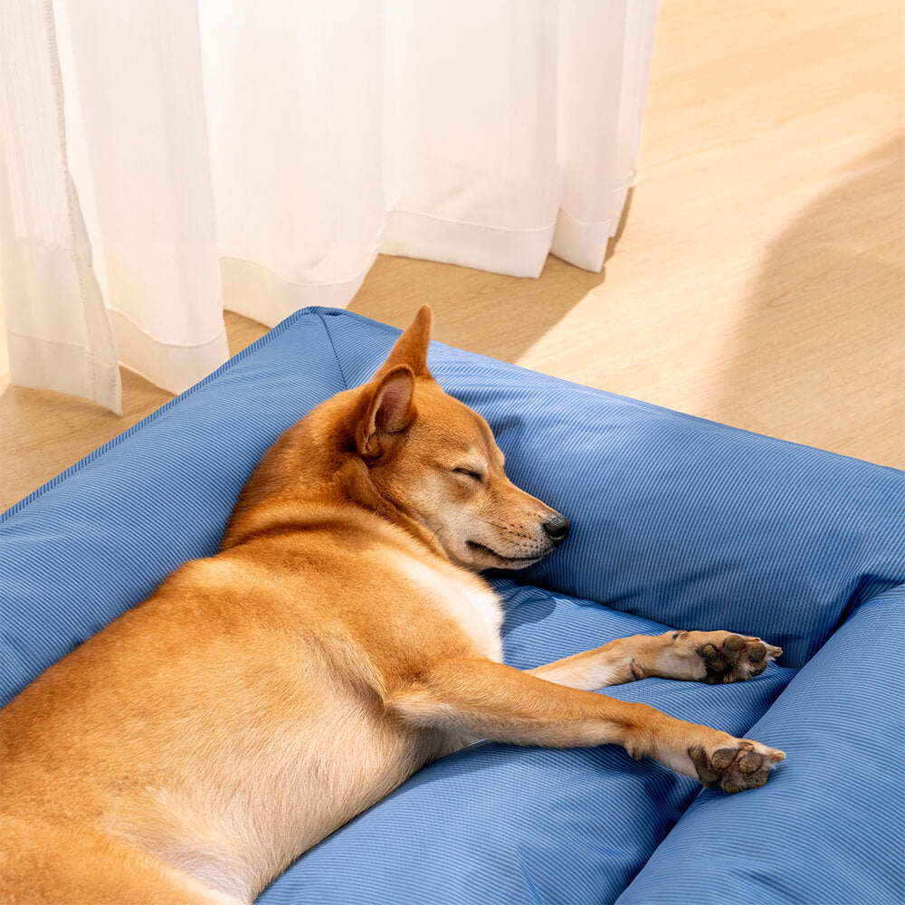 Vollständig orthopädisches, rundumstützendes, wasserdichtes Hundebett für große Hunde