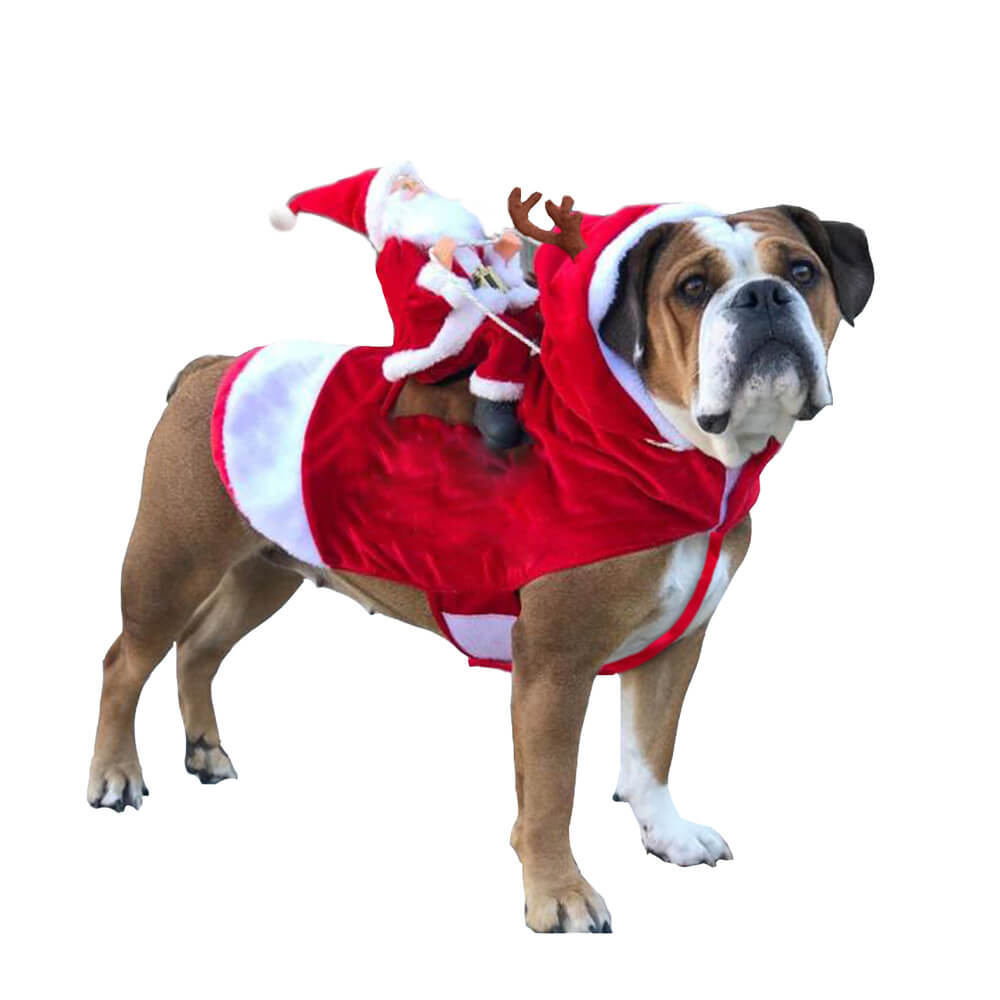 Weihnachtsfeier Weihnachtsmann Haustier Cosplay Hundekostüm