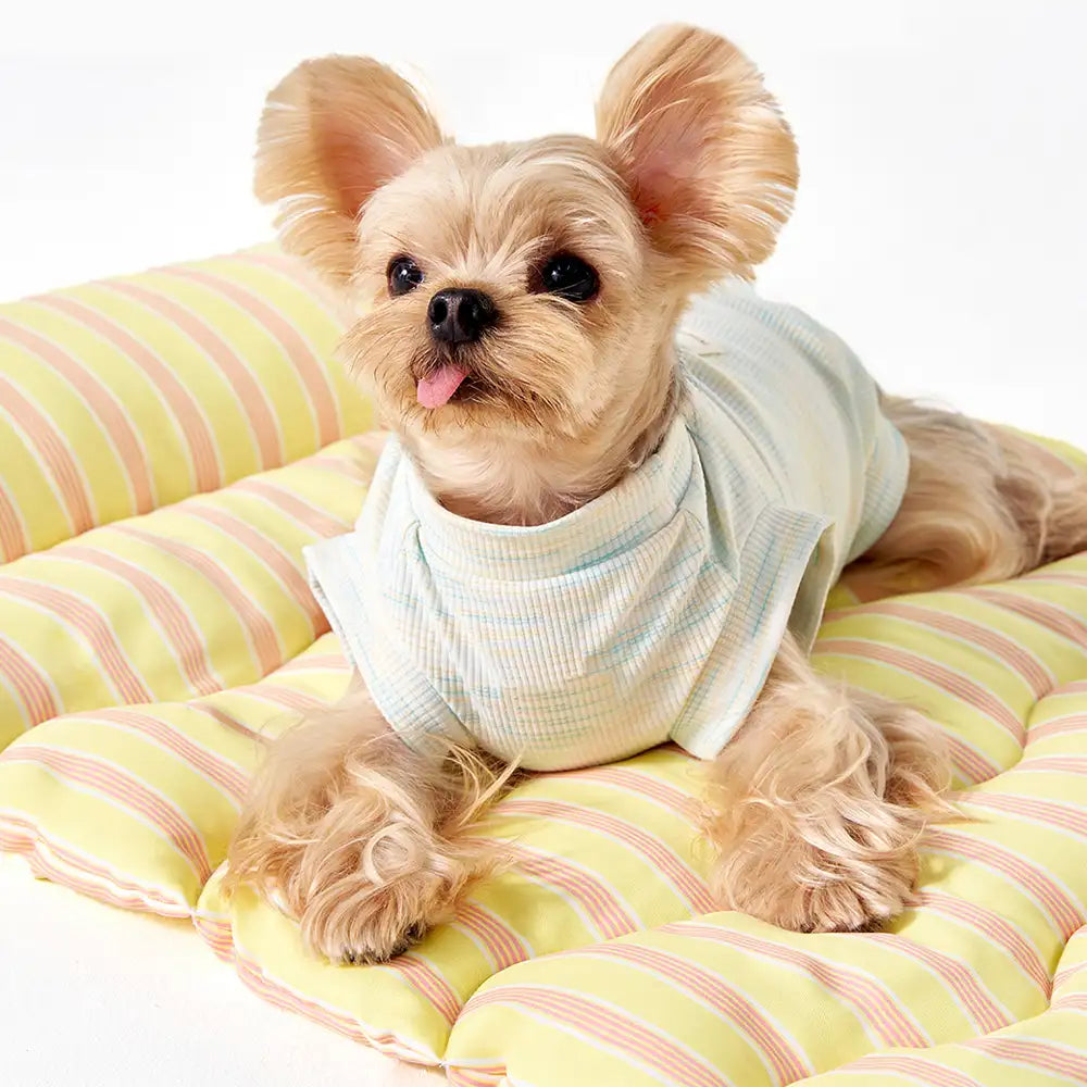 Color-Blocked Striped Breathable Double-Sided Soft Pet Mat