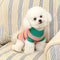 Color Blocked Striped Dachshund Dog Sweater