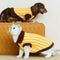 Color Blocked Striped Dachshund Polo Collar Dog Sweater