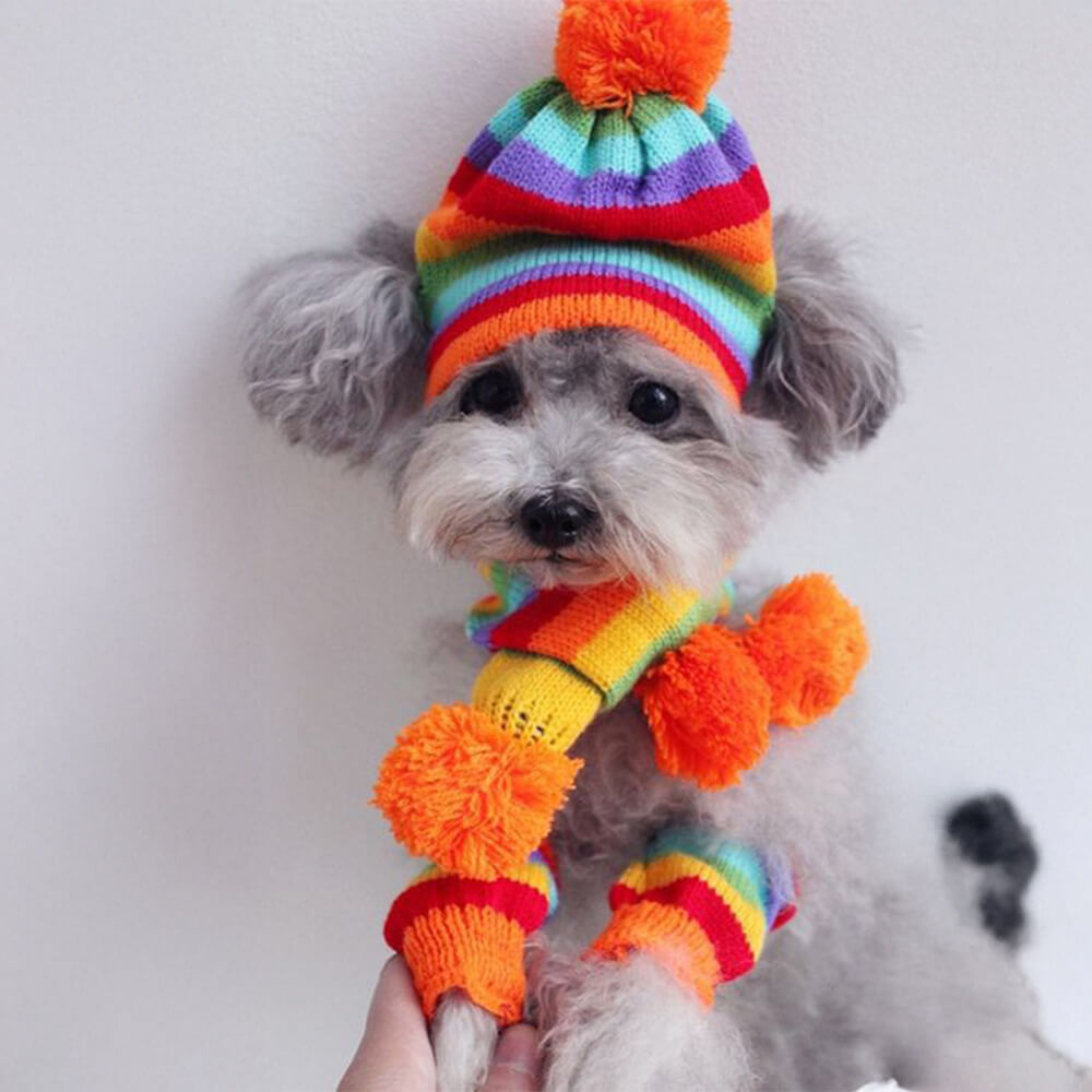 Colorful Striped Knit Pom Pom Cozy Dog Hat Scarf & Socks Set