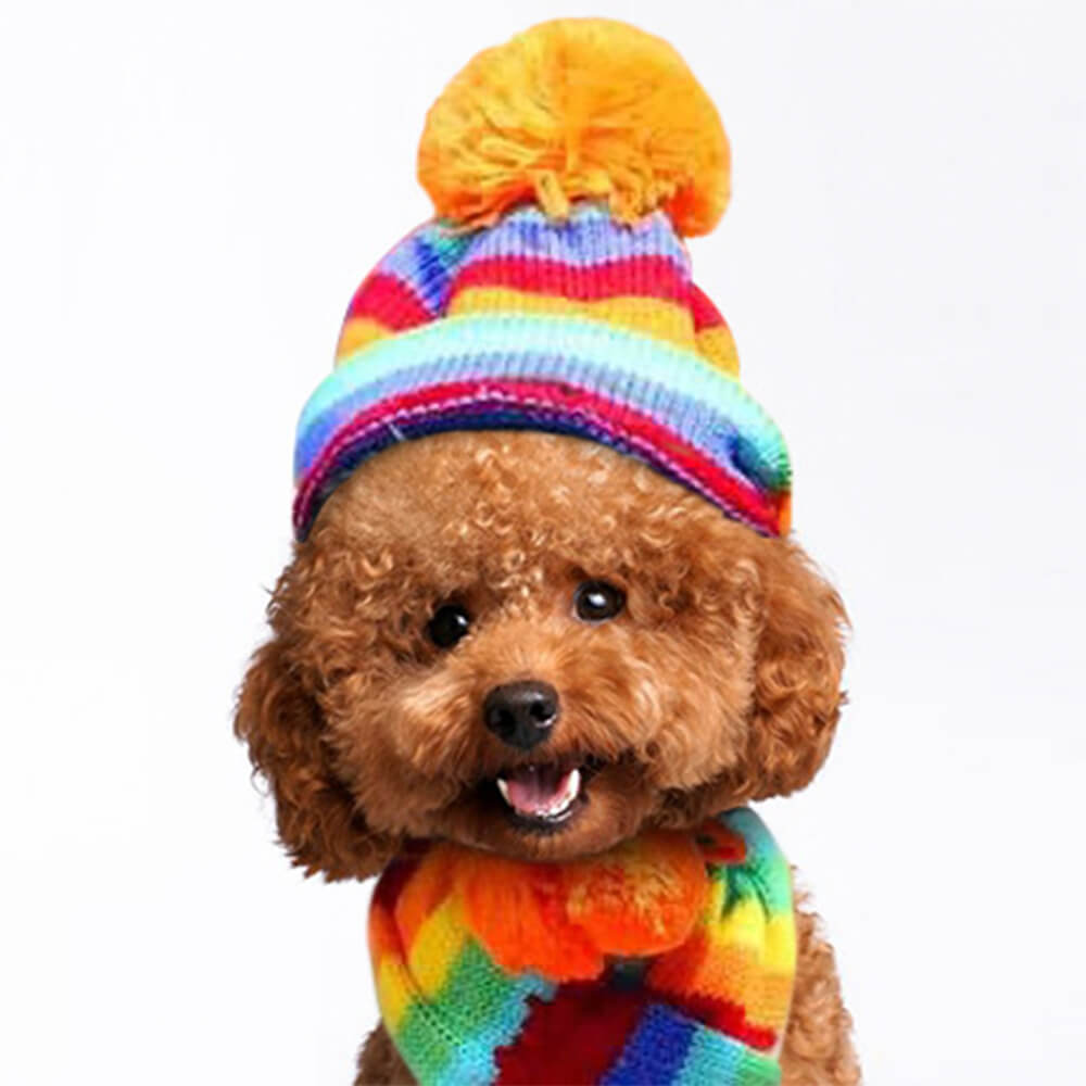 Ensemble écharpe et chaussettes en tricot rayé coloré à pompons pour chien