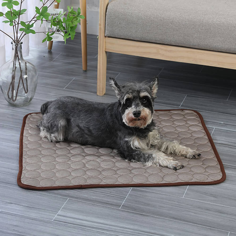 Cooling Ice Silk Soft Non-Slip Large Area Dog & Cat Mat