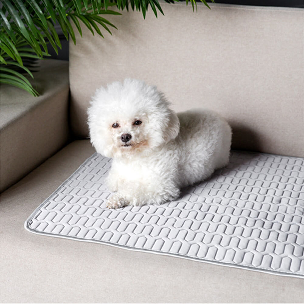 Cooling Washable Non-Slip Breathable Ice Silk Dog &amp; Cat Mat