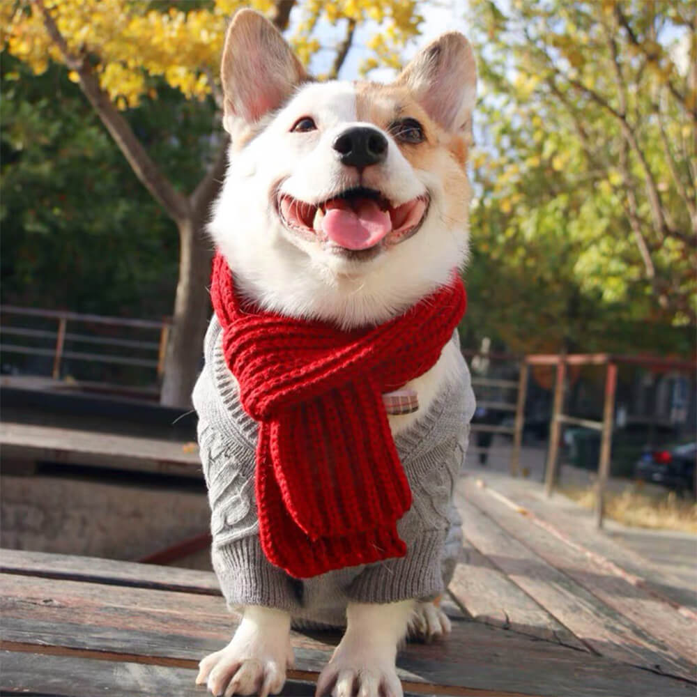 Écharpe pour chien en tricot confortable, douce et chaude, ajustement réglable