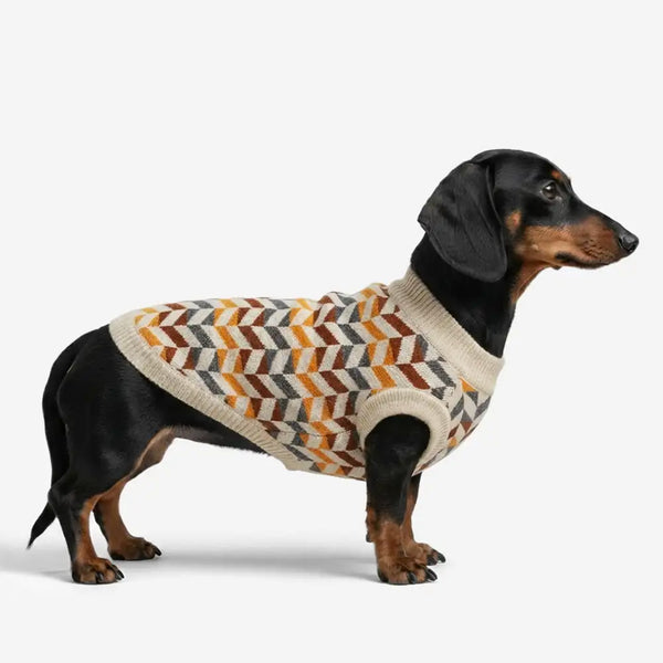 Diamond Striped Dachshund Dog Sweater