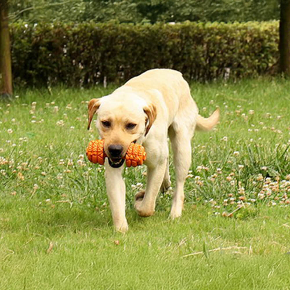 Jouet interactif durable pour chien à alimentation lente en silicone avec haltère