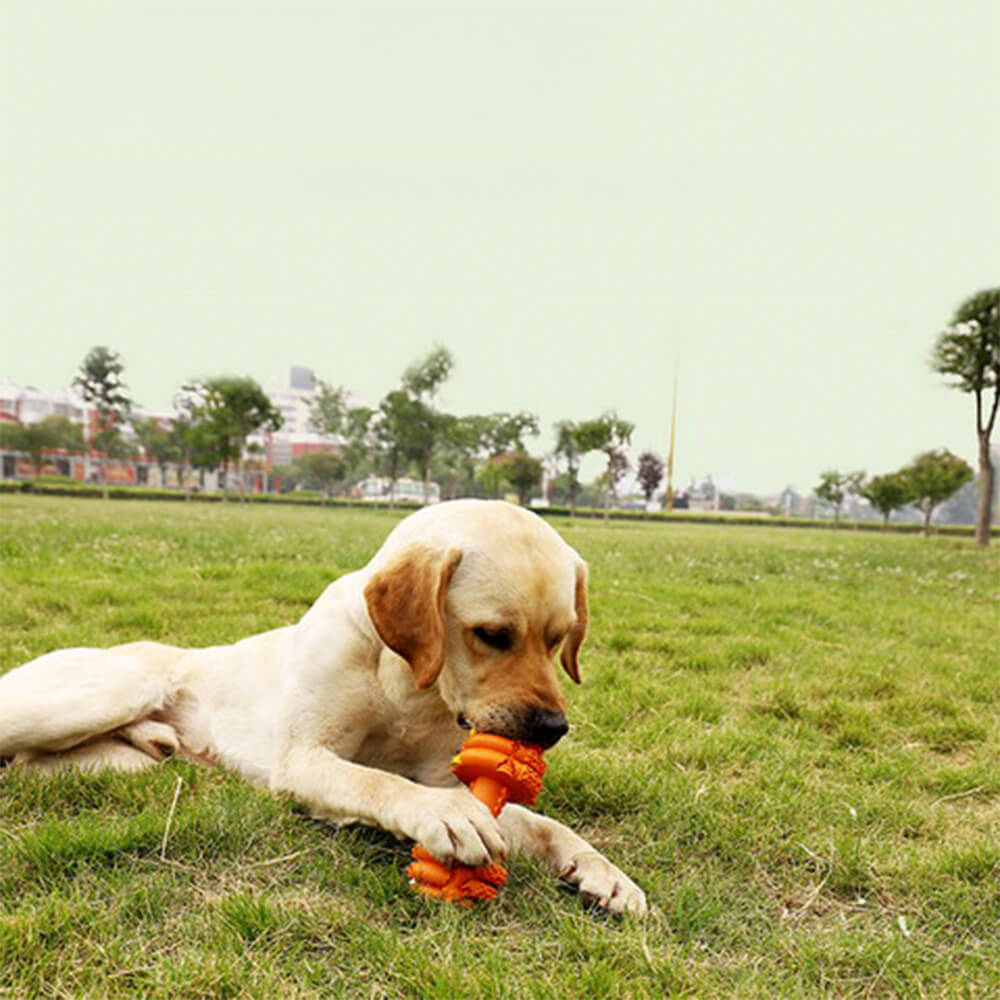 Jouet interactif durable pour chien à alimentation lente en silicone avec haltère