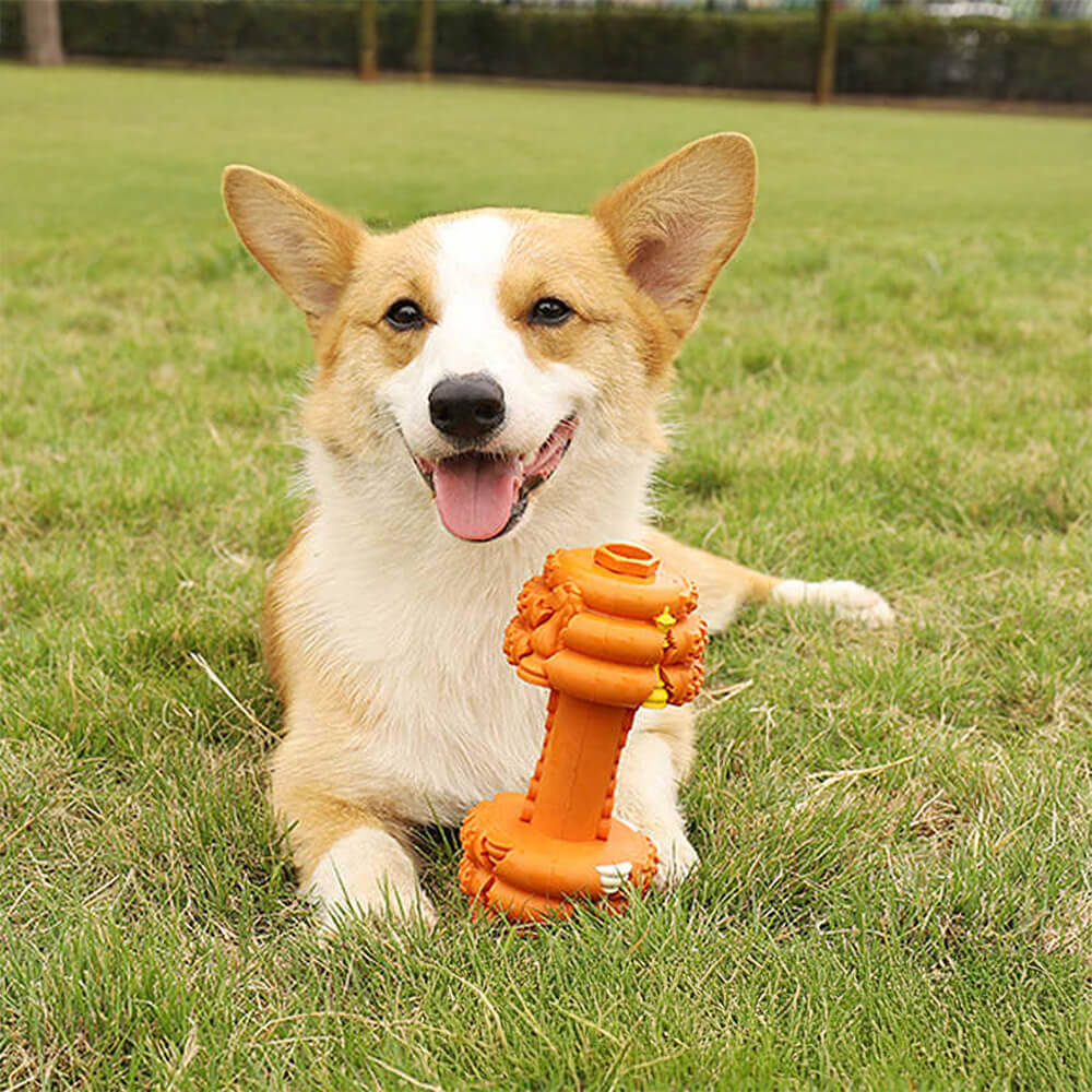 Jouet interactif durable pour chien à alimentation lente en silicone avec haltère