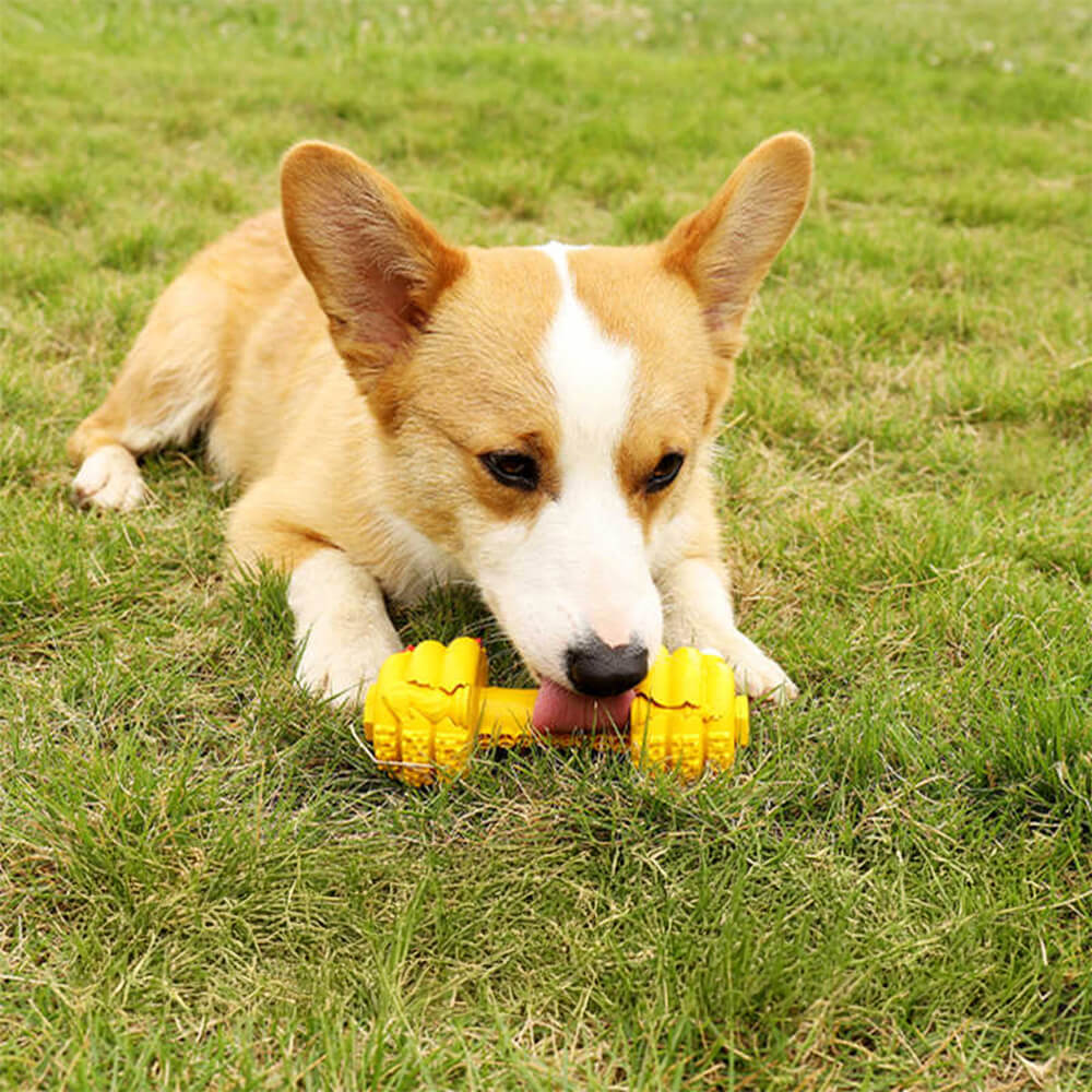 Jouet interactif durable pour chien à alimentation lente en silicone avec haltère