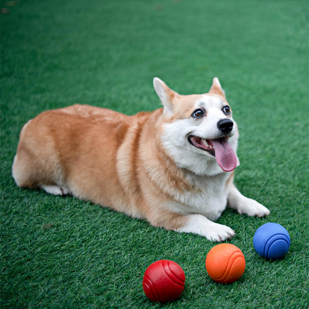 Juguete elástico de bola chirriante, bola de agua flotante, juguete para masticar para perros