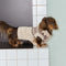 Fair Isle Pattern Dachshund Sleeveless Dog Sweater