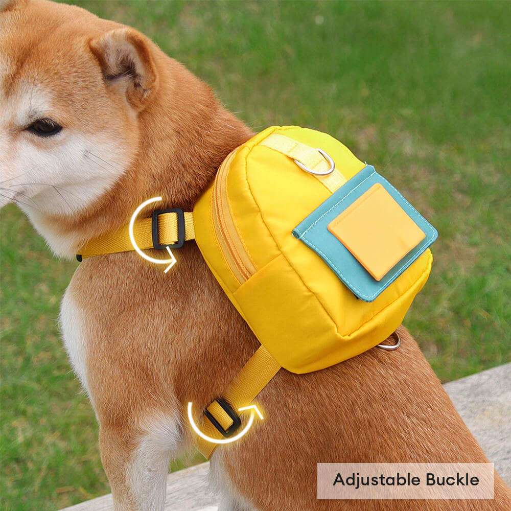 Fashionable Leash-Compatible Outdoor Adventure Pet Backpack