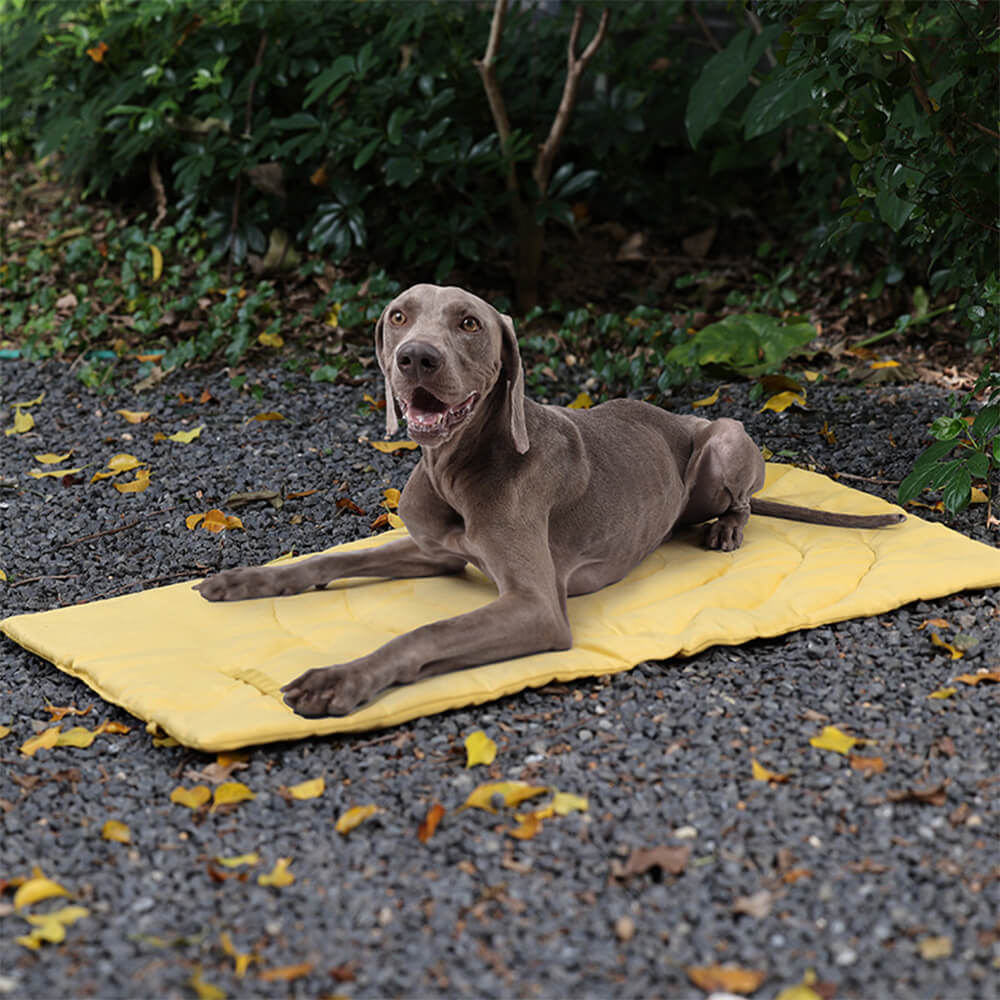 Estera portátil impermeable plegable para asiento de coche para perros, estera para acampar para perros