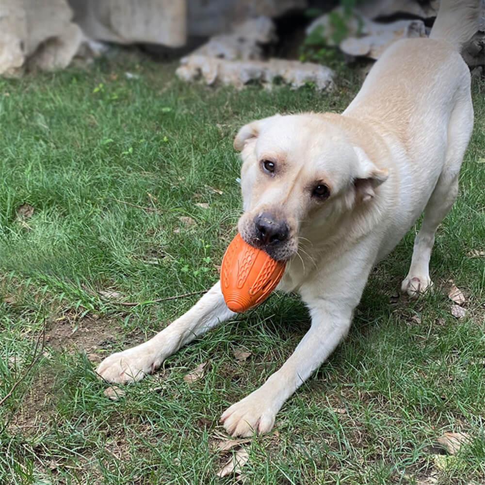 Football-Shaped Dog Chew Toy Hidden Treats Interactive Toy