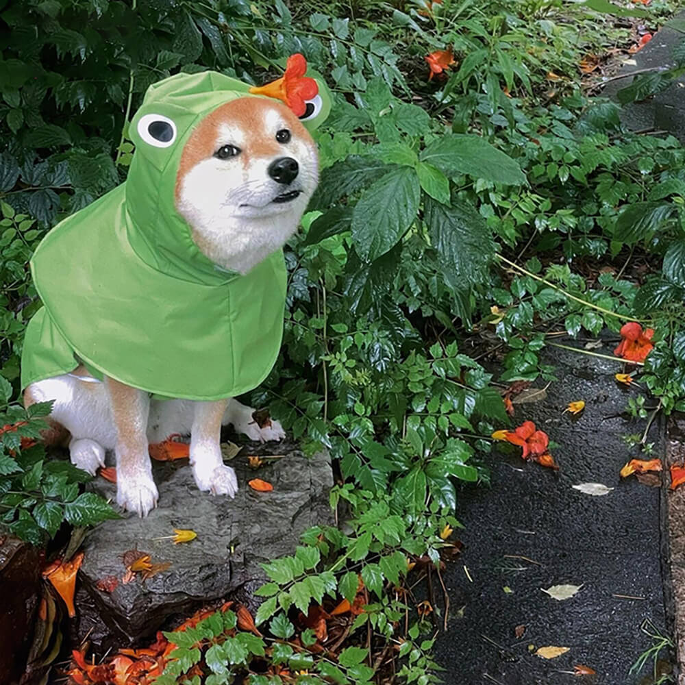 Wasserdichter, leichter Hunde-Poncho-Regenmantel im Frosch-Stil mit Kapuze