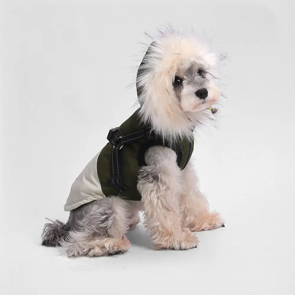 Fur-Trim Hooded Warm Dog Coat with Leash Buckle