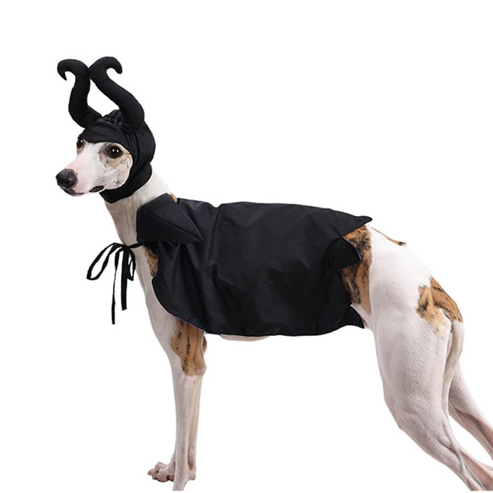 Halloween Witch Cloak Costume Pet Apparel