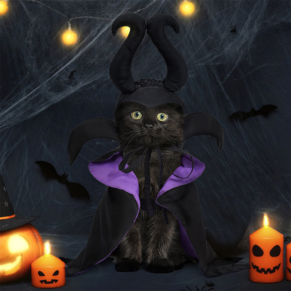 Halloween Witch Cloak Costume Pet Apparel