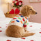 Heart Patterned Dachshund Dog Sweater