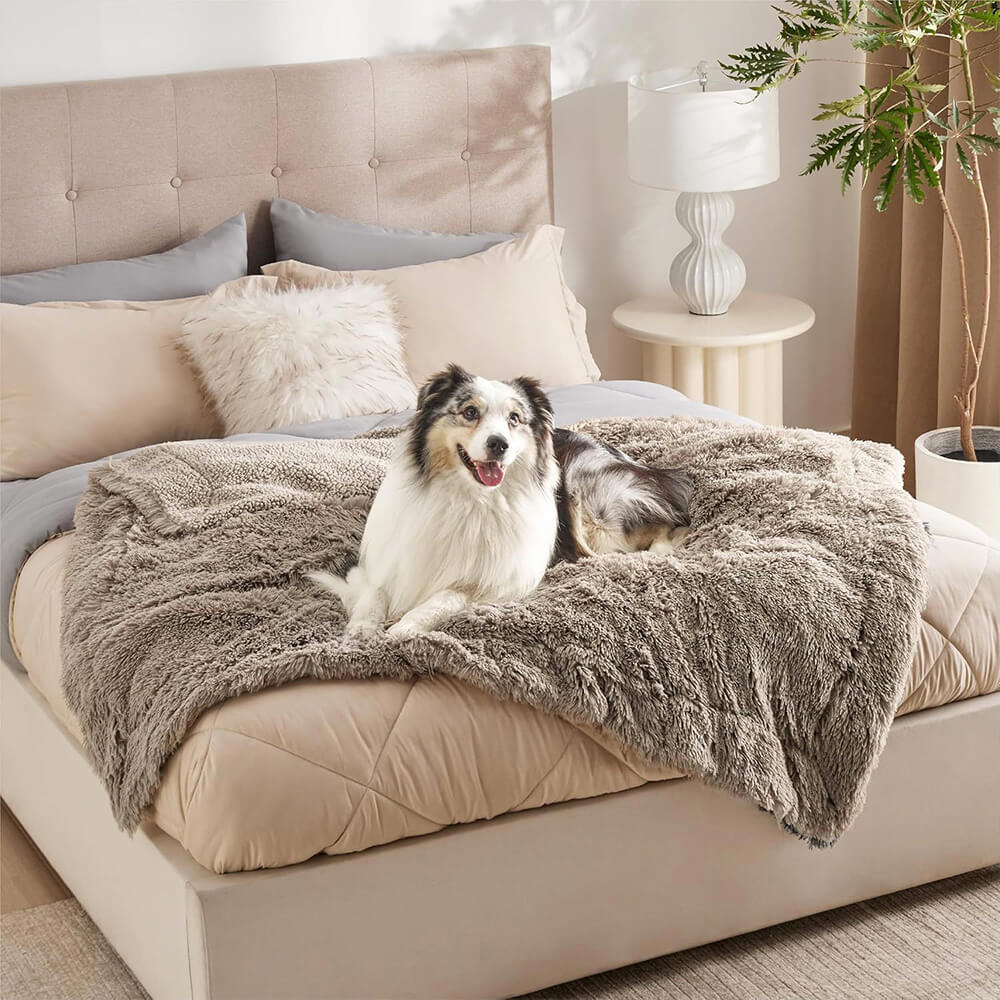 Couverture luxueuse et imperméable pour chien, en peluche, chaude, polyvalente, pour la maison