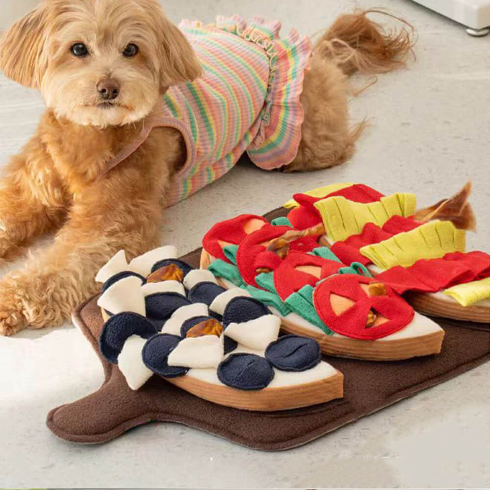 Multi-Flavor Pizza Squeaky Slow Feeder Dog Snuffle Mat Toy