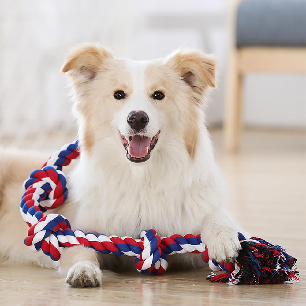 Juguete interactivo para perros con nudo de cuerda