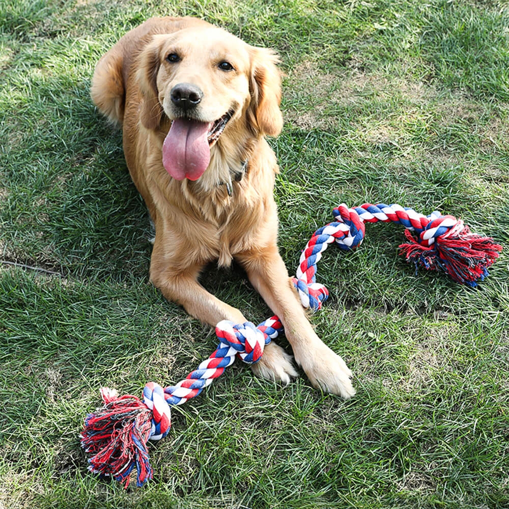 Juguete interactivo para perros con nudo de cuerda