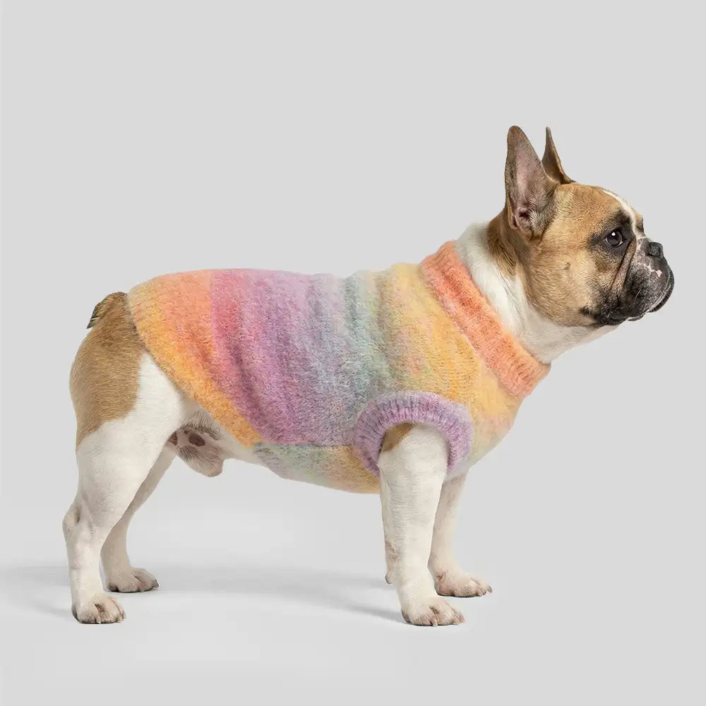 Soft Warm Thick-Knitted Dog Sweater – Designed For Dachshunds, French Bulldogs & Pugs
