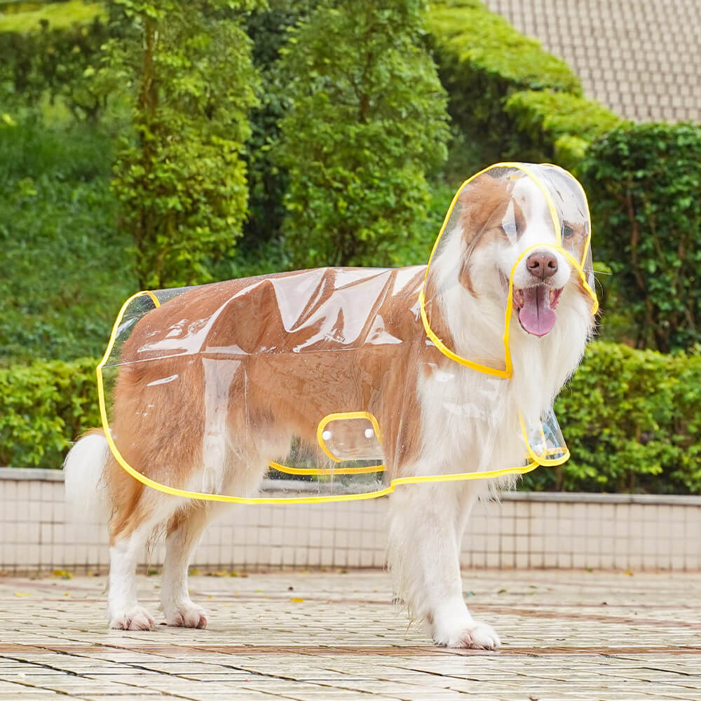 Imperméable à capuchon extérieur imperméable transparent d'EVA pour chien