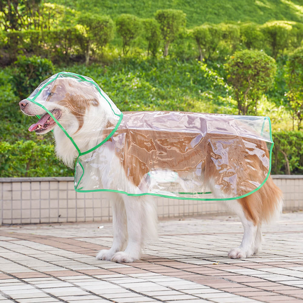 Imperméable à capuchon extérieur imperméable transparent d'EVA pour chien